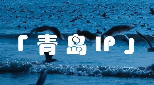 青岛 IP