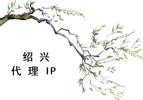 绍兴代理 IP