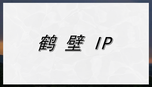 鹤壁 IP