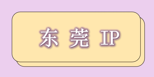 东莞 IP