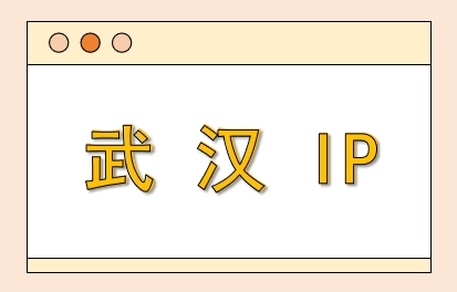 武汉 IP