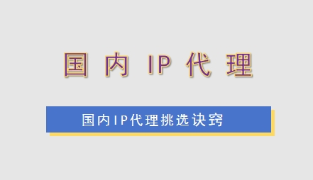 国内 IP 代理