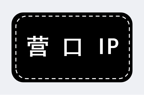 营口 IP