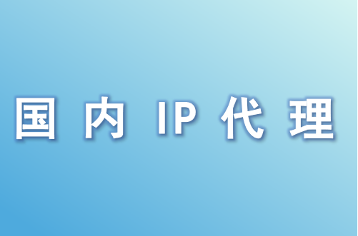 国内 IP 代理